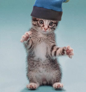 chat