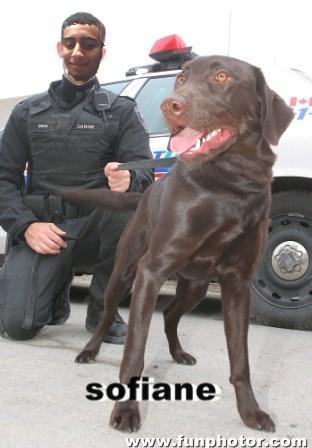 moi oui police