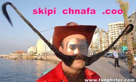 scipi moustach